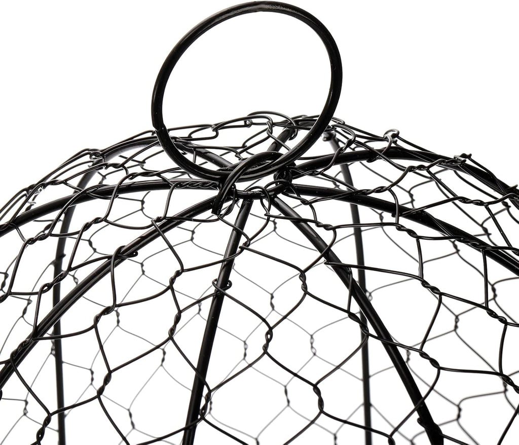 Black Metal Garden Cloche 5 Pack S142707
