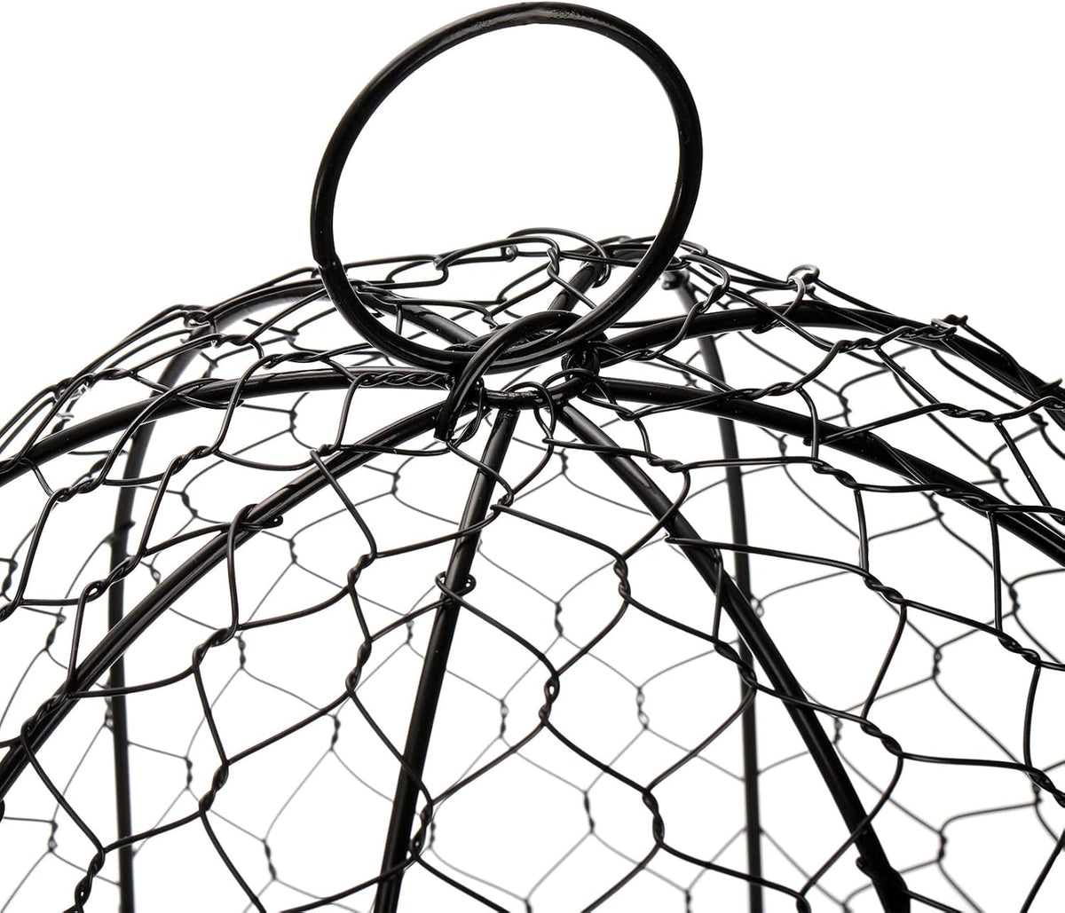 Black Metal Garden Cloche 5 Pack S142707