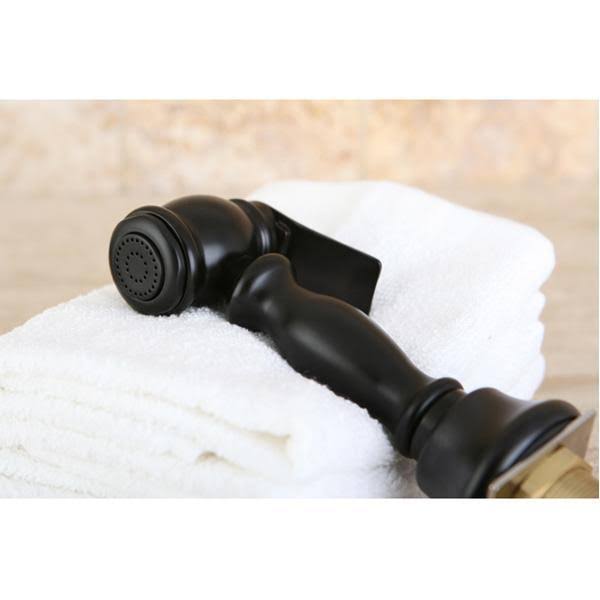 Polished Chrome Kitchen Faucet Sprayer Q66060