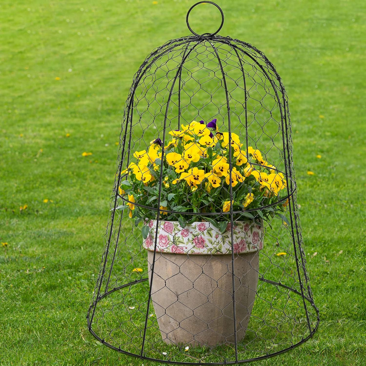 Black Metal Garden Cloche 5 Pack S142707
