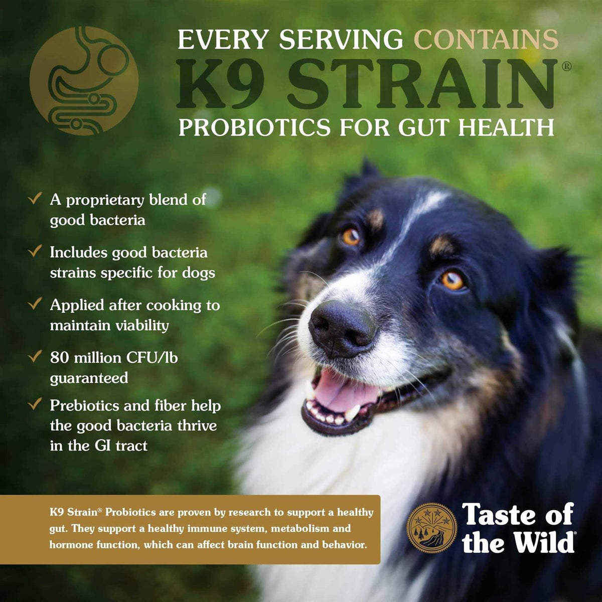 High Prairie Dog Food U6564