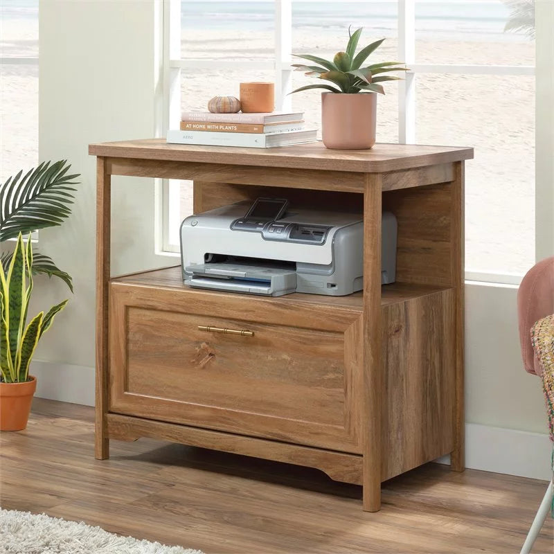 Sindoori Mango Finish Lateral Filing Cabinet S809542