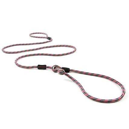 Slip Collar Dog Leash S9316