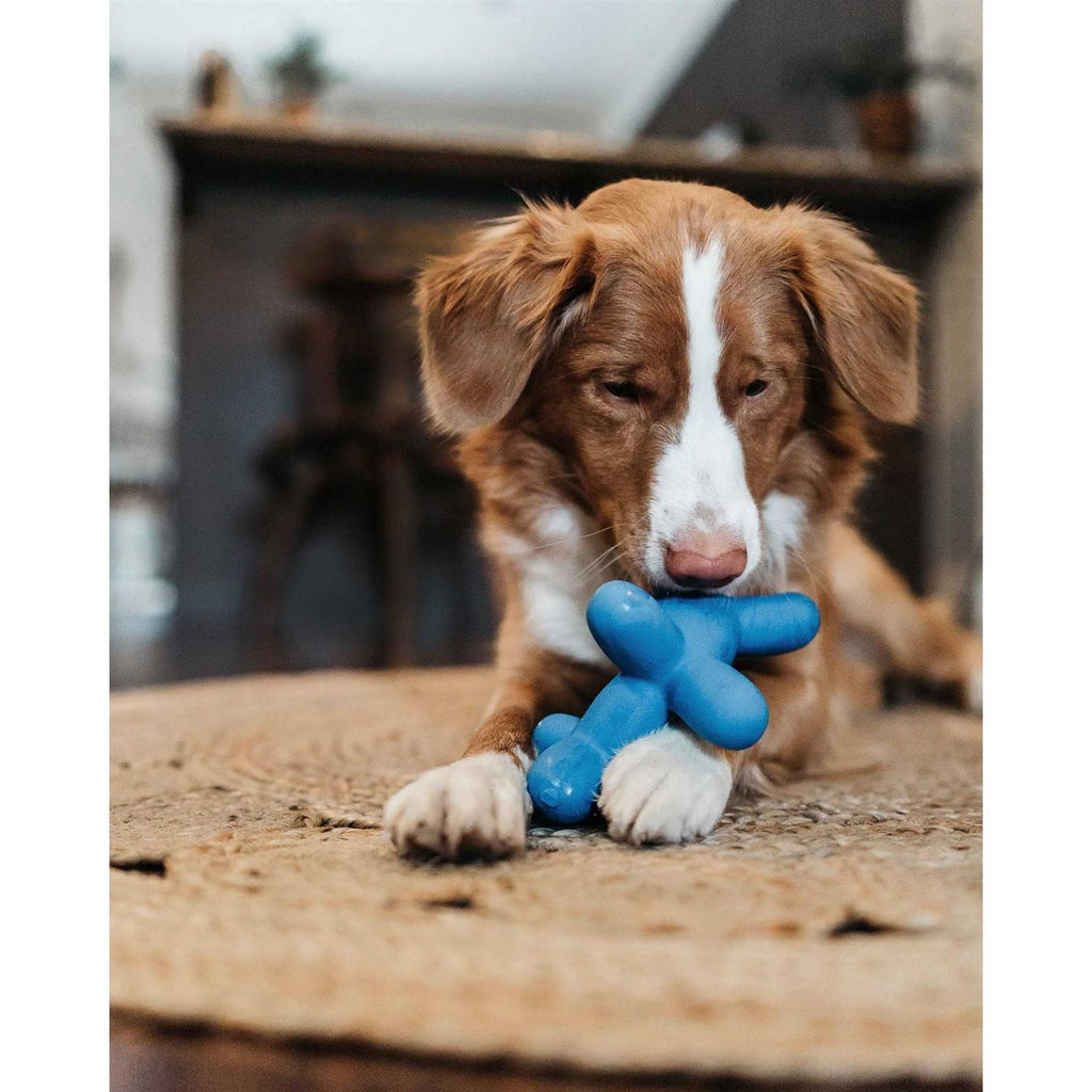 Latex Dog Toy S169829