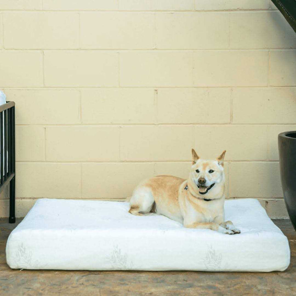 Bamboo Memory Foam Pet Bed P19617