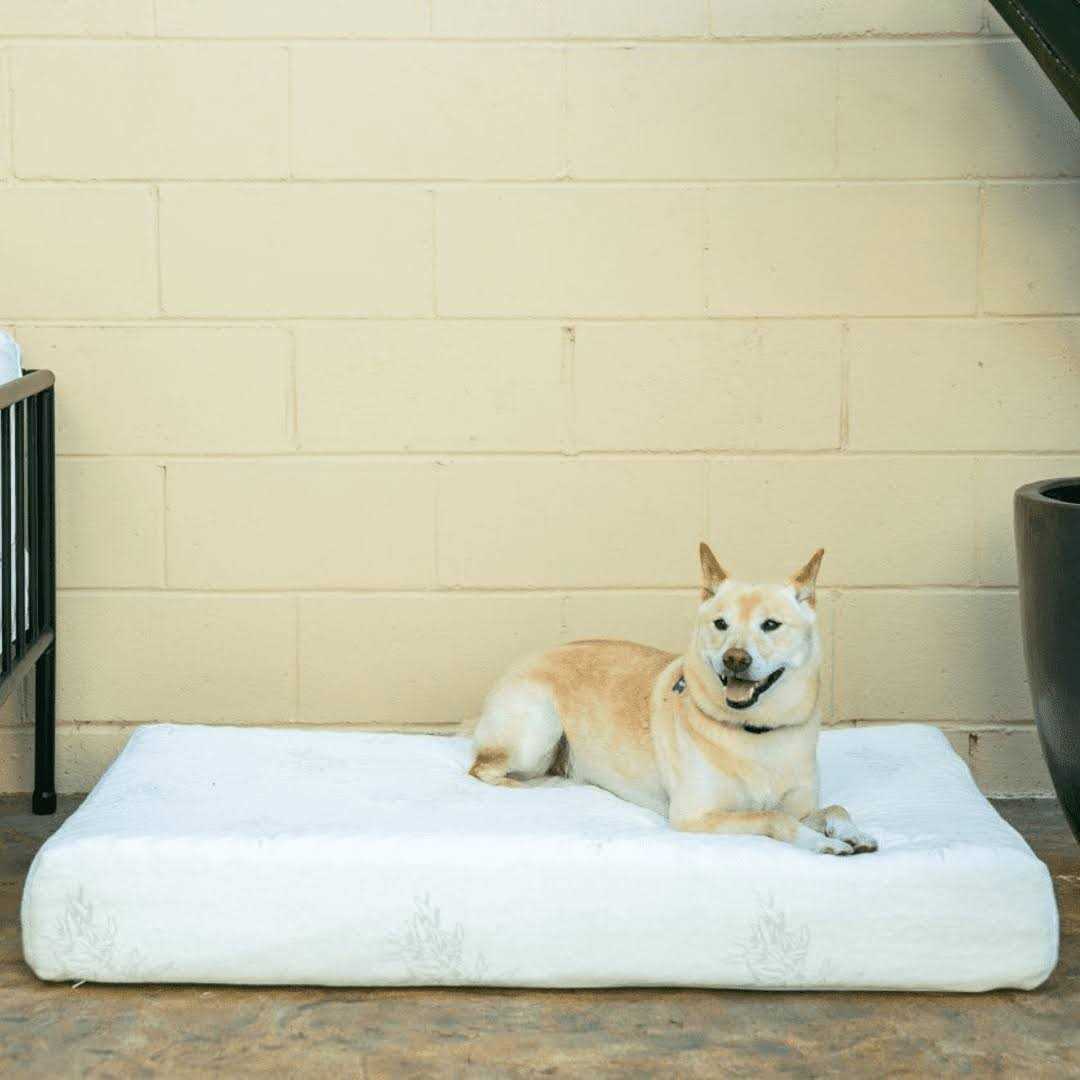 Bamboo Memory Foam Pet Bed P19617