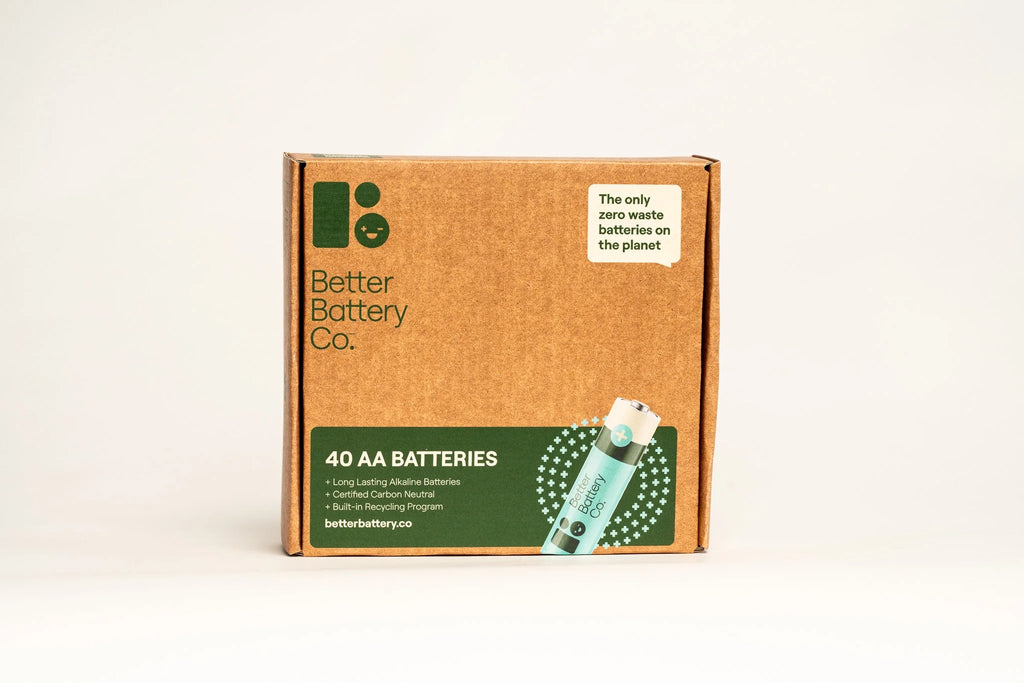 40 AA Kit AA battery with Recycling Program P300361