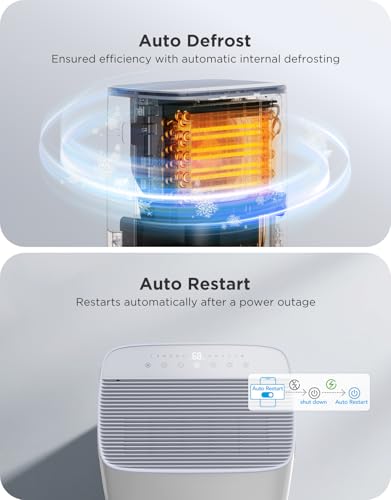 Dehumidifier with Drain Hose and 2.0Gal Bucket P5789