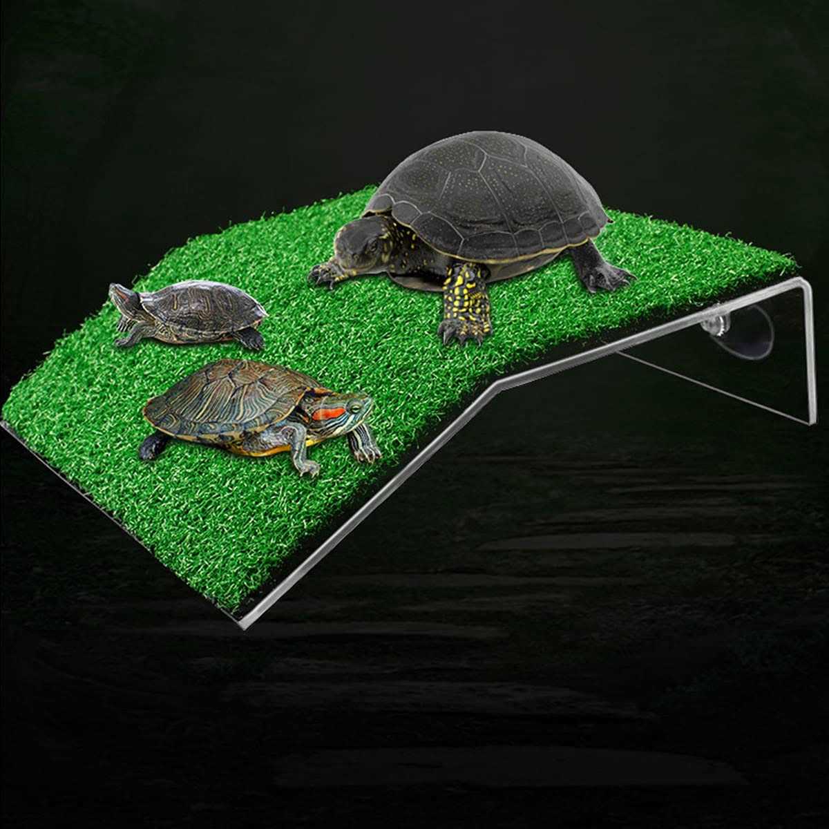 Turtle Basking Platform F810871