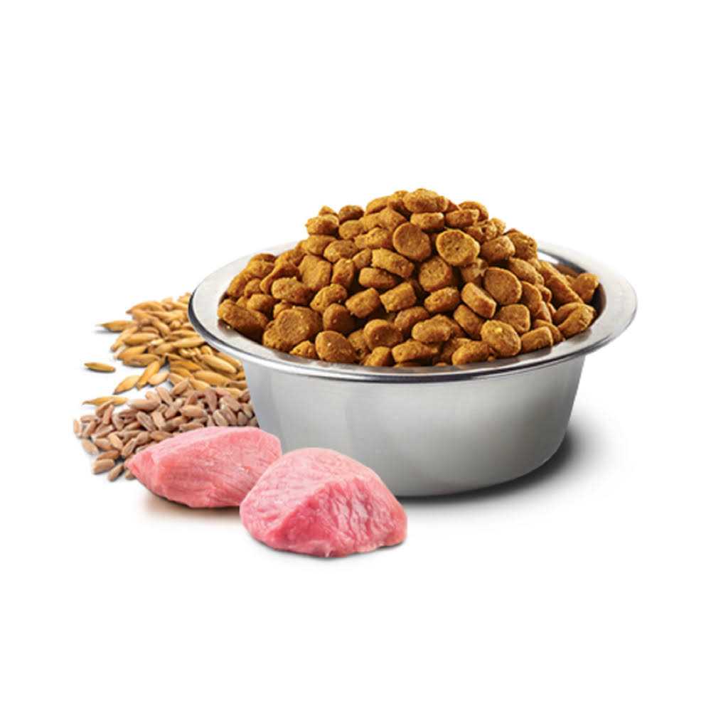 Chicken & Pomegranate Adult Dry Cat Food I446888