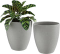 10 Inch Plant Pots Set of 2 with Drainage Hole P515159