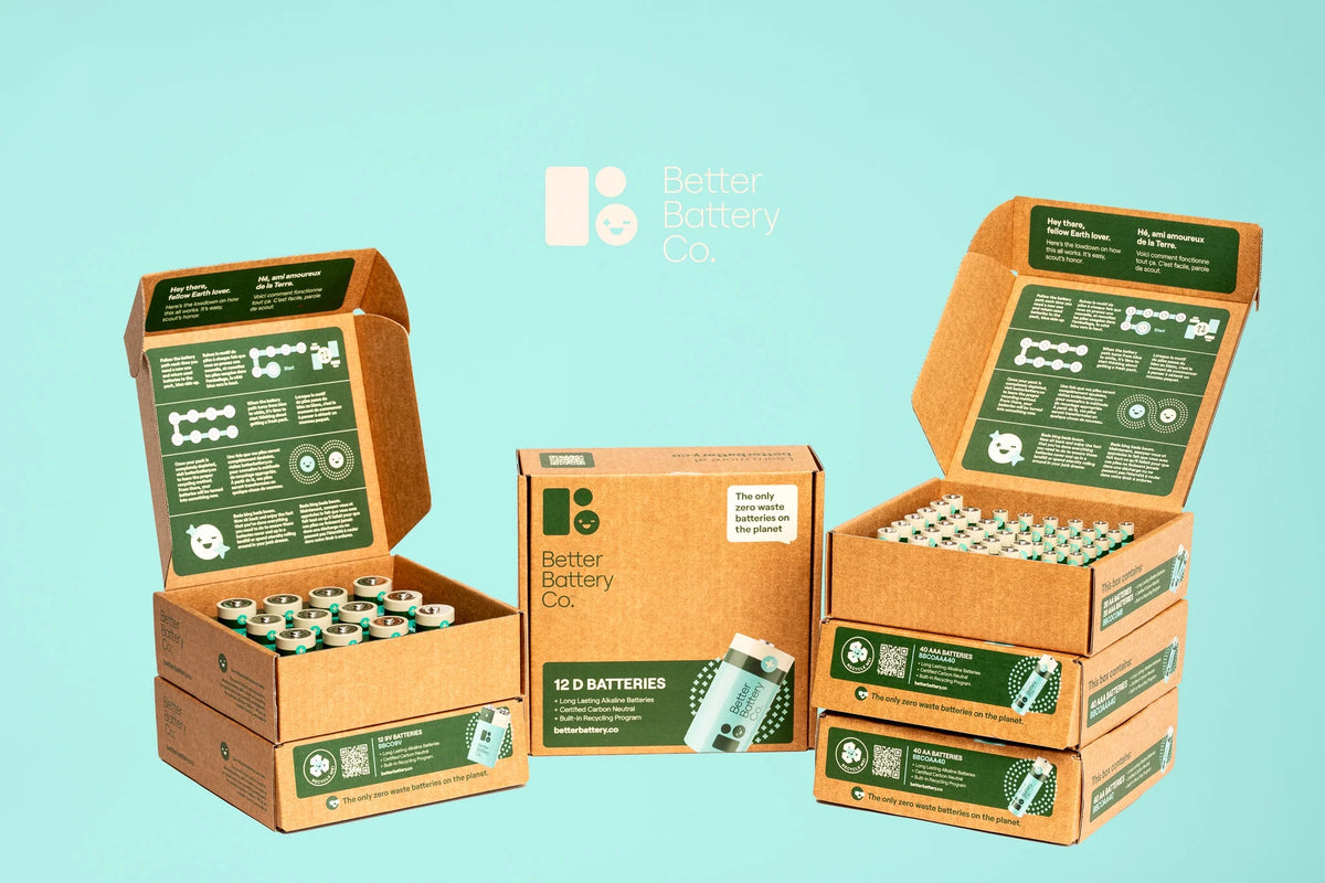 40 AA Kit AA battery with Recycling Program P300361