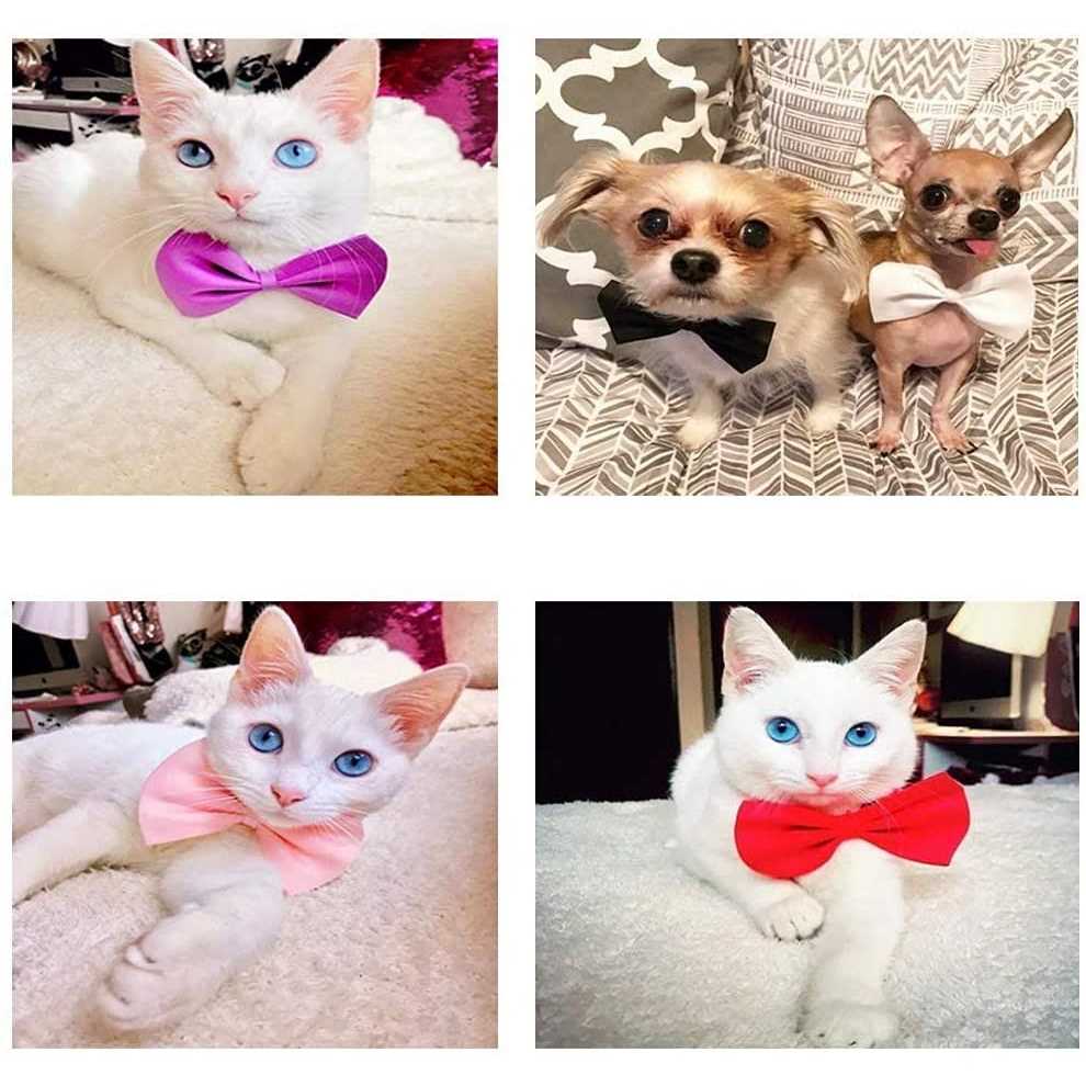 50Pcs Dog Bow Ties with Adjustable Collar G786