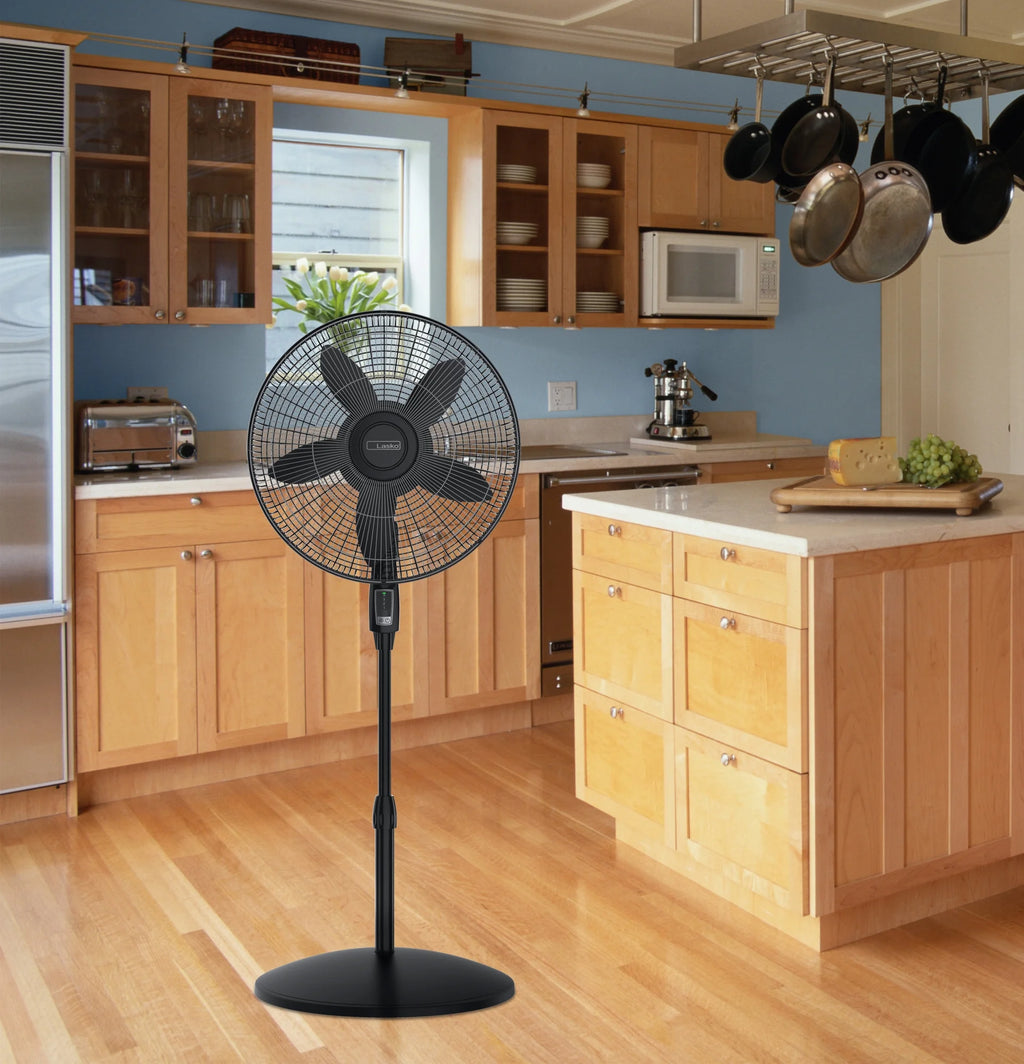 Black Pedestal Fan G2630