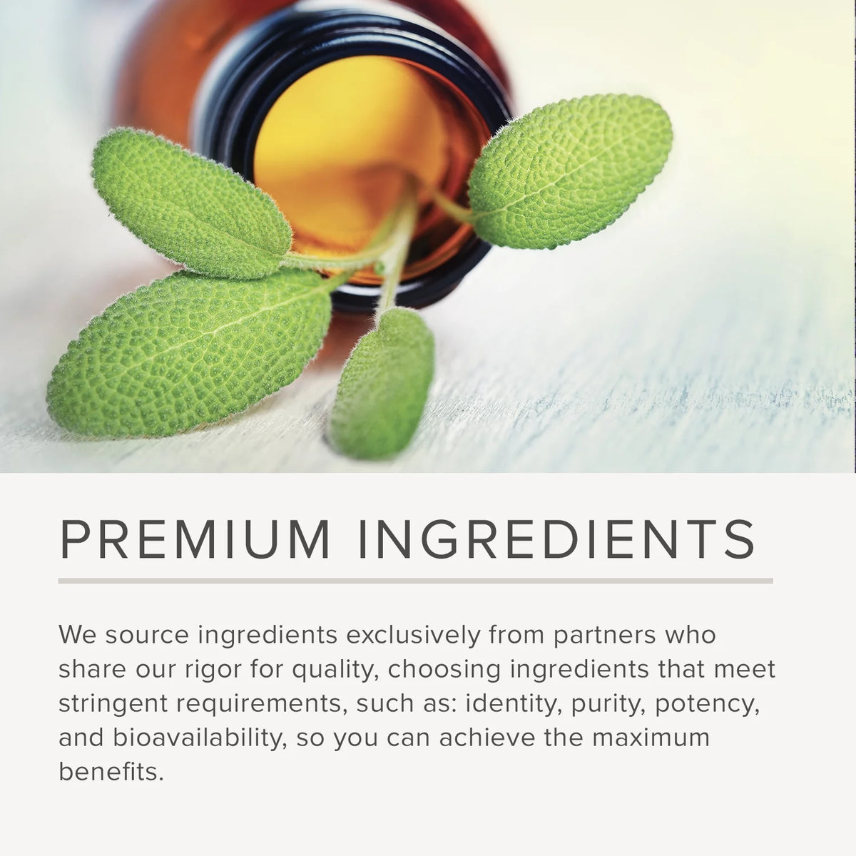 Lipase Enzyme Supplement 90 Vegan Capsules G418