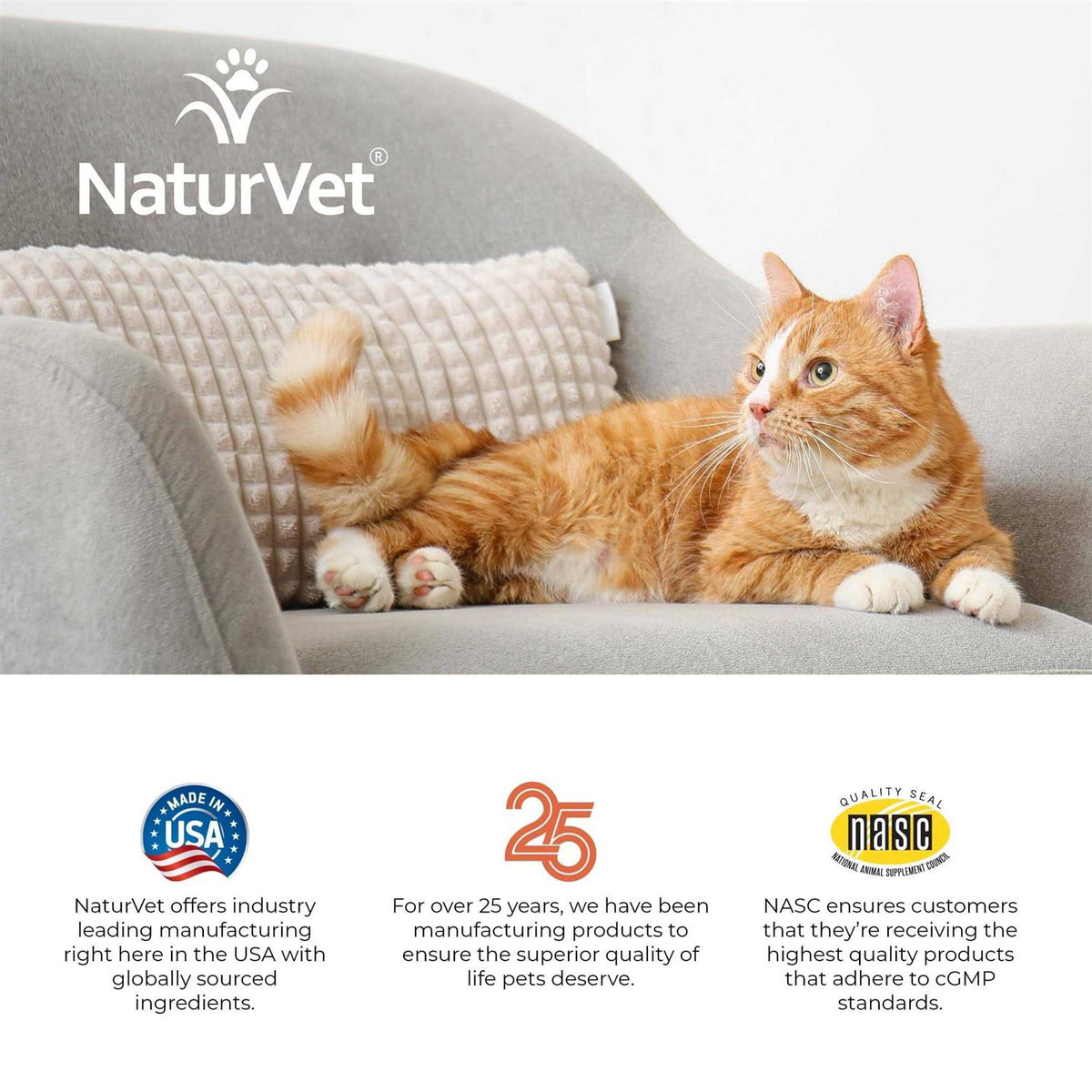Senior Daily Vitamins Plus Glucosamine Cat Soft Chews C651