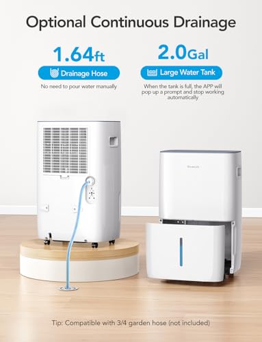 Dehumidifier with Drain Hose and 2.0Gal Bucket P5789