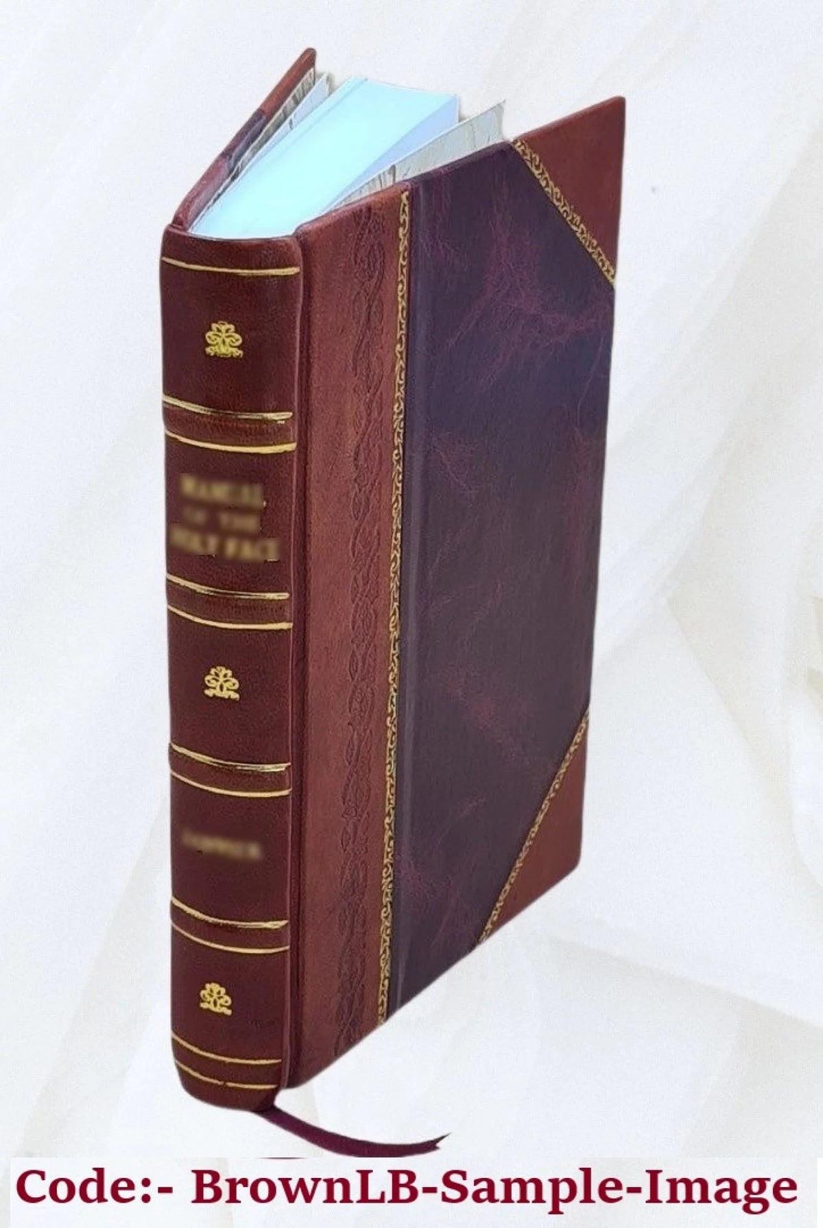 Leather Bound Book W100