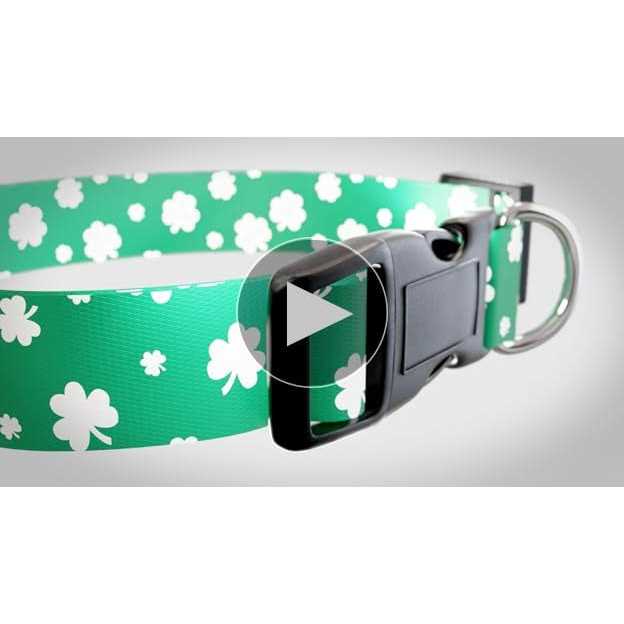St Patricks Day Dog Collars Q34477