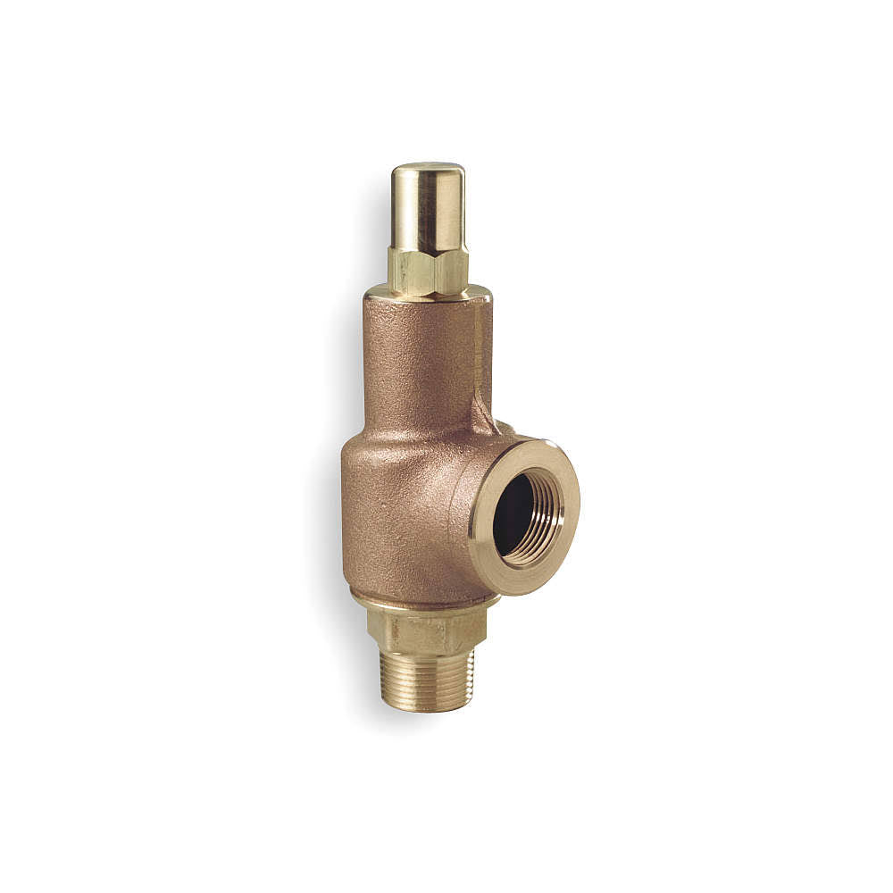 Adjustable Relief Valve, 1-1/4 In, 600 PSI B113