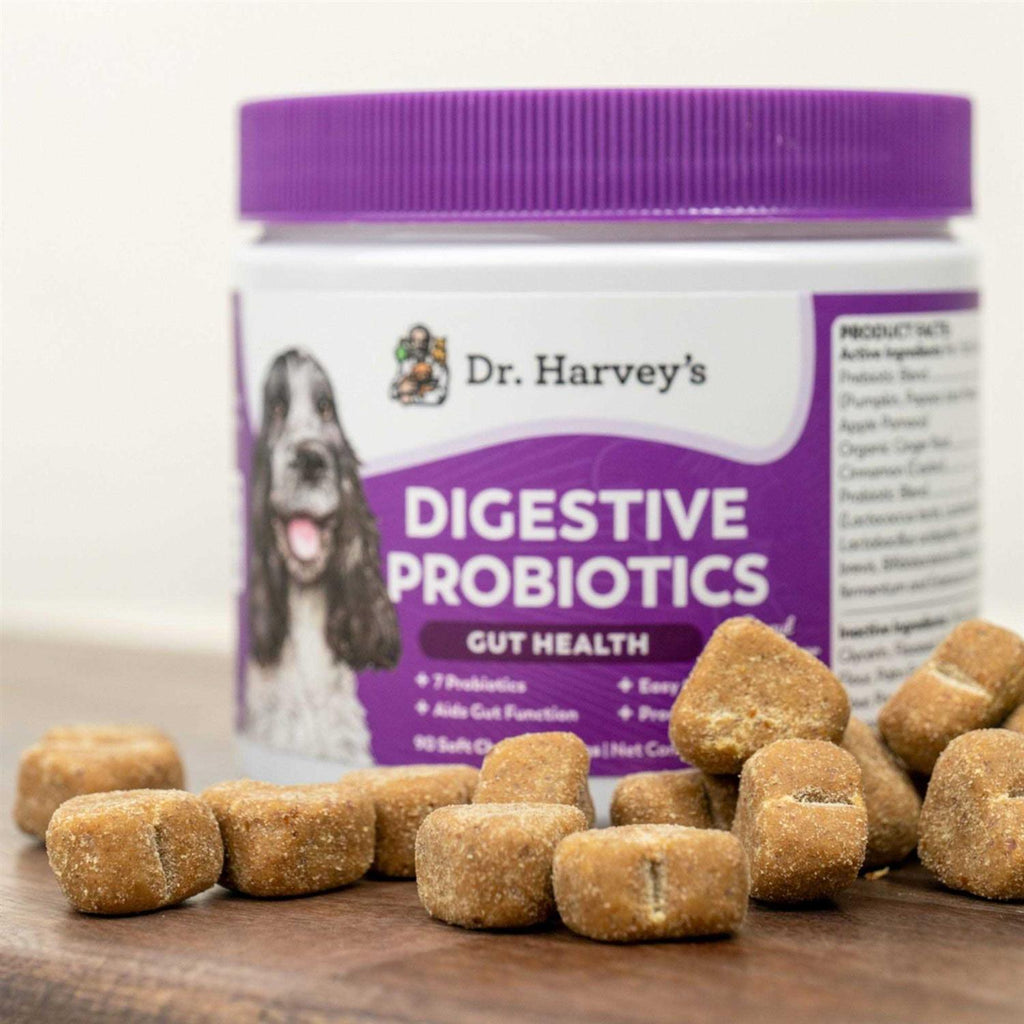 Probiotics Gut Health for Dogs Soft Chews H131