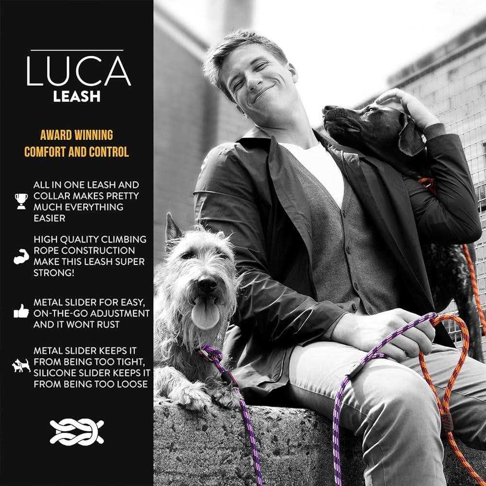 Slip Collar Dog Leash S9316