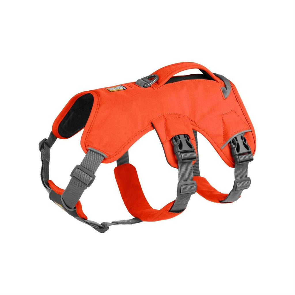 Harness G3083