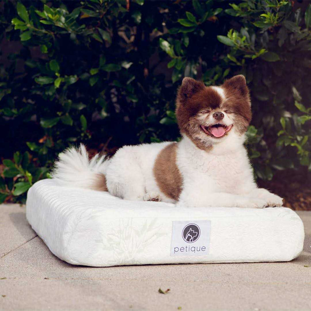 Bamboo Memory Foam Pet Bed P19617