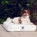 Bamboo Memory Foam Pet Bed P19617