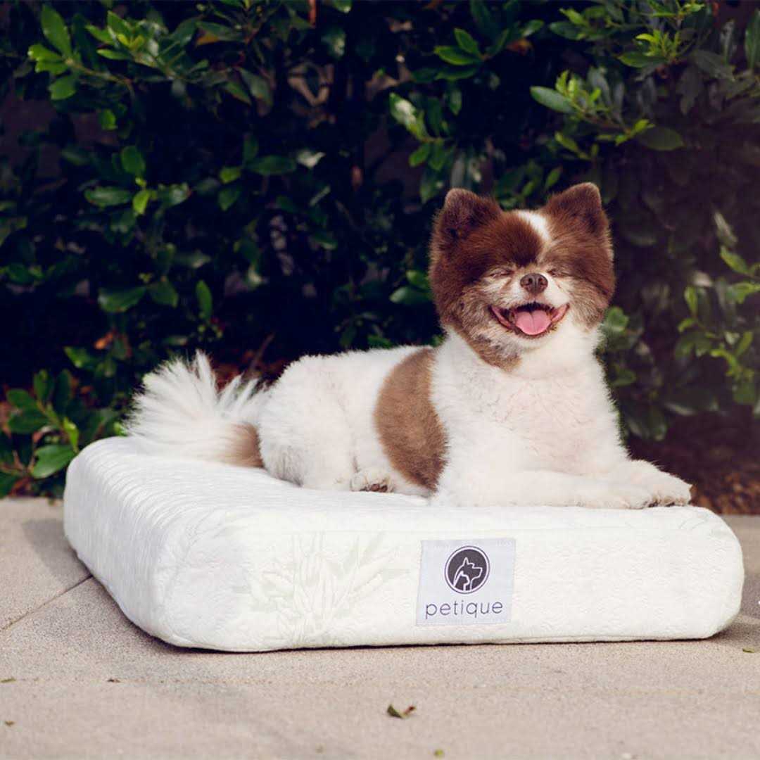 Bamboo Memory Foam Pet Bed P19617