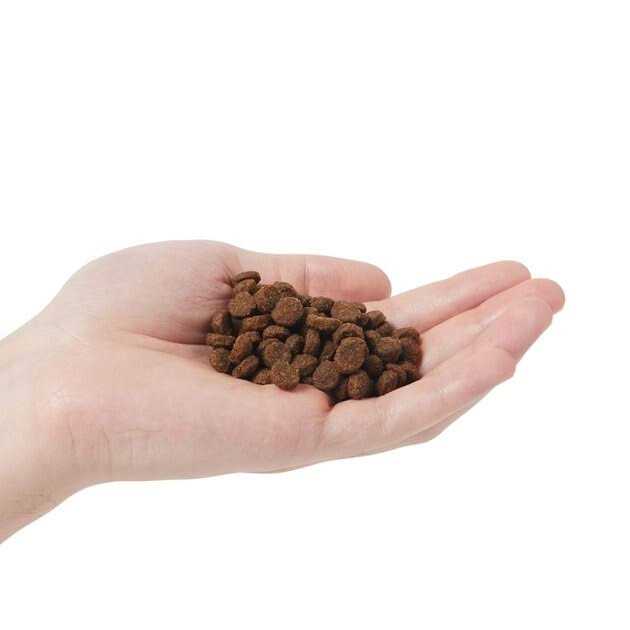 Chicken & Pomegranate Adult Dry Cat Food I446888