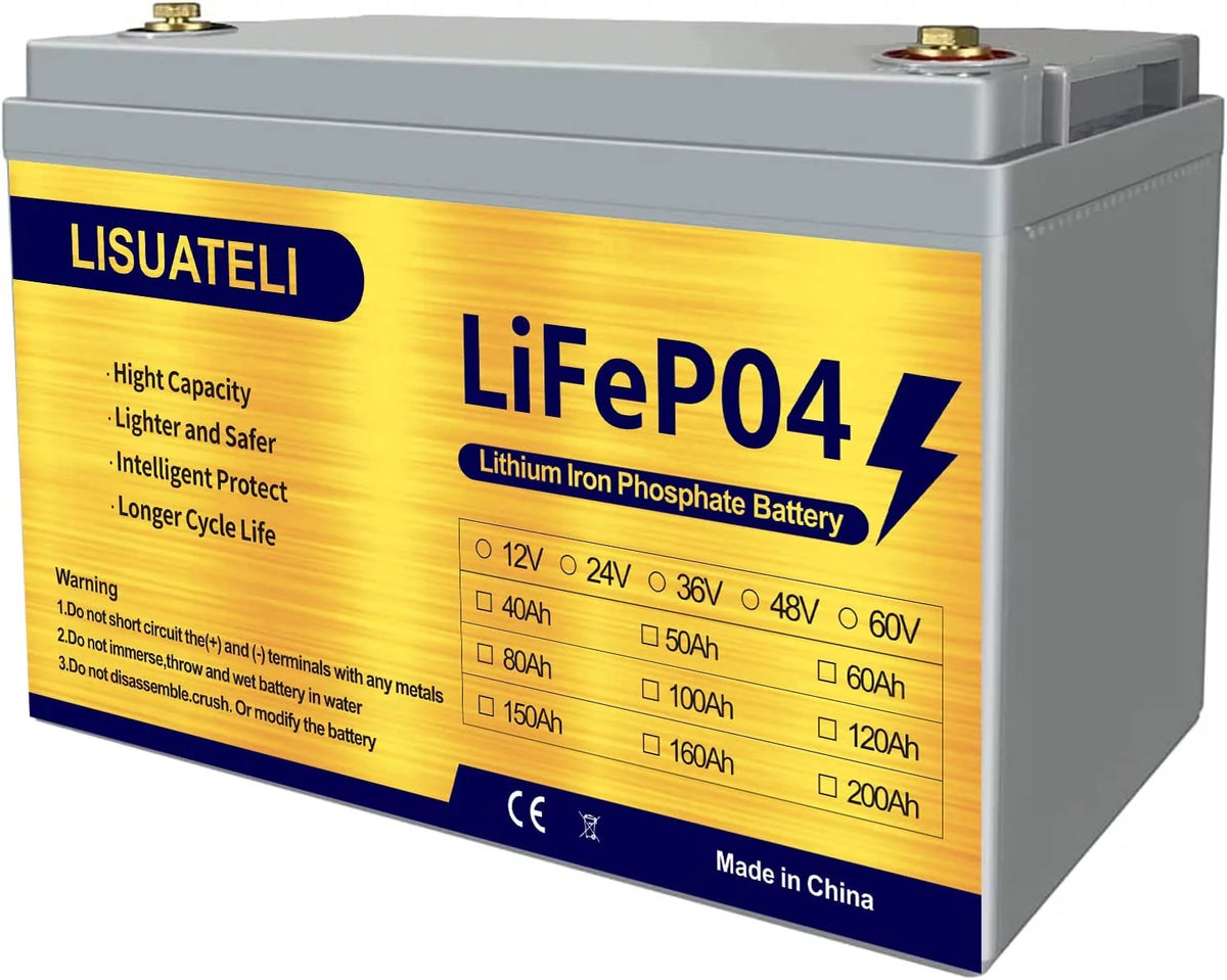 12V 100Ah Lifepo4 Lithium Battery Z4464