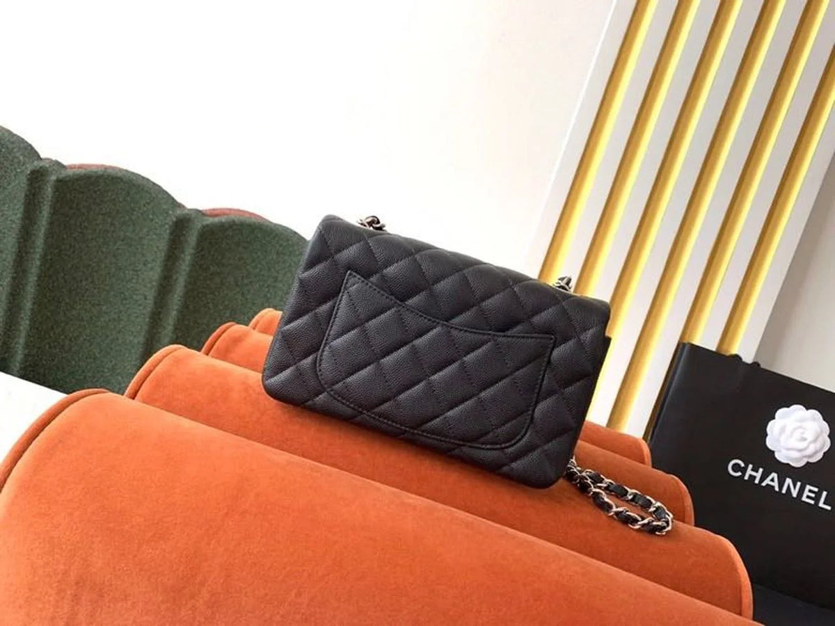 Black Small Classic Handbag F74475