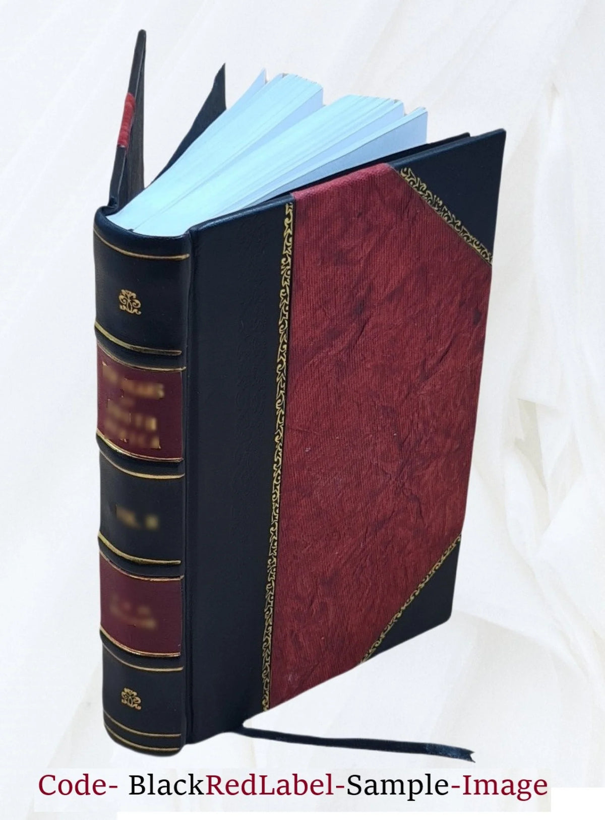 Leather Bound Book W100